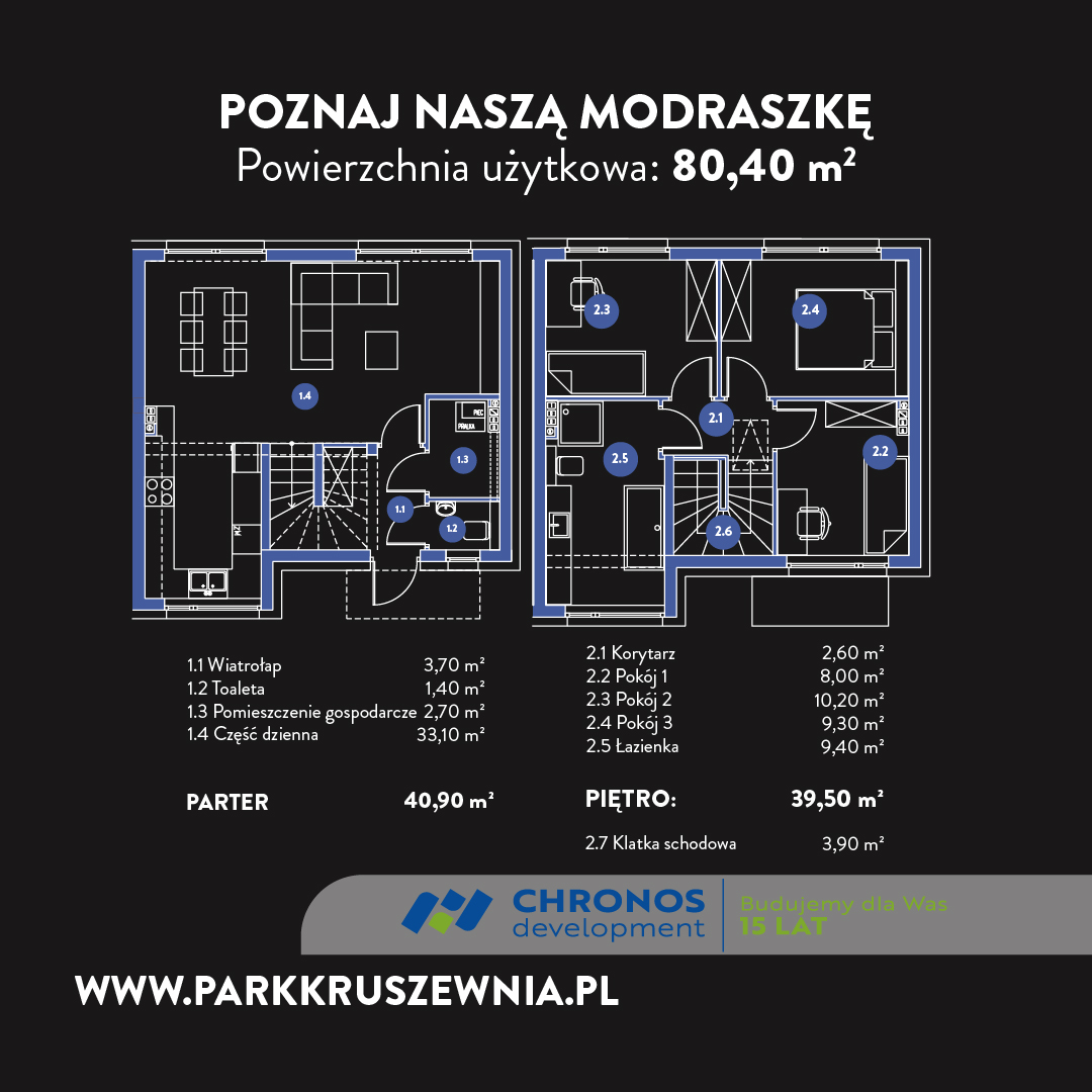 reklama modraszka kwadratmodraszka-100